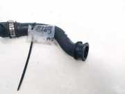 K?hlerschlauch Ford Focus, 1998.10 - 2002.10 Gebraucht,