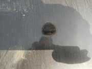 Waschwasserdüse Scheibenreinigung Fiat Stilo, 2001.10 - 2007.01 Gebraucht,