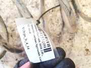 Fahrwerksfeder Hinterachse Subaru Outback, IV 2009.06 - 2014.12 Gebraucht,