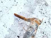 Anhängerkupplung Volkswagen Passat, B4 1993.07 - 1996.08 Gebraucht,