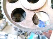 Zahnrad Nockenwelle Audi 100, C4 1991.01 - 1994.06 069109111,