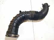 Schlauch für Luftversorgung Renault Megane, II 2002.11 - 2006.06 8200500384a,