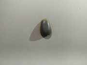 Waschwasserdüse Scheibenreinigung Nissan Almera Tino 2000.08 - 2003.09 Gebraucht,