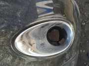 Kühlergrill - Vorne Linke Infiniti QX50, I J50 2007.01 - 2016.06 Gebraucht,