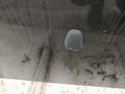 Waschwasserdüse Scheibenreinigung Volvo V40, I 2000.07 - 2004.06 facelift Gebraucht,