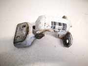 Türscharnier Vorne Renault Trafic, X83 2001.03 - 2006.08 Gebraucht,