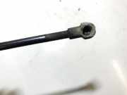 Gasdruckfeder Kofferraum Lexus GS, III 2005.06 - 2007.06 645300w090, 64530-0w090