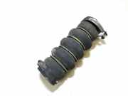 Intercooler Schlauch Citroen Berlingo, II 2008.04 - 2018 Gebraucht,