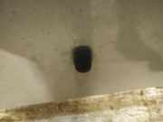Waschwasserdüse Scheibenreinigung Kia Sportage, 2004.09 - 2010.01 Gebraucht,
