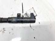 Zündspule Renault Scenic, II 2003.06 - 2006.06 0040100052,