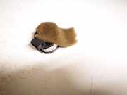 Lautsprecher Fiat Bravo, 2006.11 - 2014 a0143302,