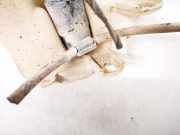 Waschwasserpumpe Scheibenreinigung Fiat Brava, 1995.10 - 2002.12 Gebraucht,