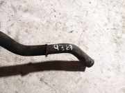 K?hlerschlauch Citroen Xsara, I 2000.09 - 2005.03 facelift Gebraucht,