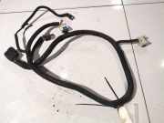 Kabelbaum Opel Antara, 2010.08 - 2015 Gebraucht,