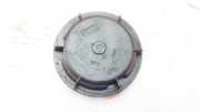 Blende Scheinwerfer - Vorne Renault Laguna, II 2001.03 - 2006.05 8900811,