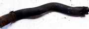 Kühlerschlauch Opel Insignia A, 2008.01 - 2013.01 Gebraucht,