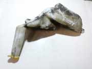 Scheibenwaschbehälter Vorne Wischwasserbehälter Opel Zafira, A 1999.04 - 2003.11 Gebraucht,