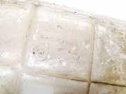 Ausgleichsbehälter Ford Escort, 1995.01 - 2000.07 95ab8k218b1c,