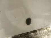 Waschwasserdüse Scheibenreinigung Ford C-MAX, 2011.01 - 2019 Gebraucht,