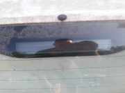 Zusatzbremsleuchte Fiat Panda 2003 - 2012 Gebraucht ,