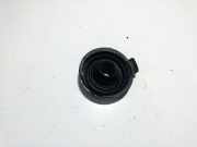 Blende Scheinwerfer - Vorne Toyota RAV-4, II 2000.09 - 2005.11 Gebraucht,