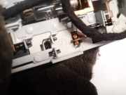 Innenraumleuchte Ford S-Max, 2006.05 - 2014 3s7a13k767a, 3s7a-13k767-a