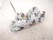 Lampenträger Heckleuchte - Hinten Toyota Corolla Verso, III 2004.05 - 2007 Gebraucht,