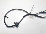 Kabelbaum Fiat Ulysse, II 2002.06 - 2014.12 1486450080,