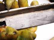 Stoßstangenhalter - Hinten Rechts Ford Galaxy, Mk I 1995.03 - 2000.04 7m0807394c, 95vw17e775bd