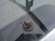 Wischermotor - Hinten Opel Meriva, A 2002.12 - 2006.01 Gebraucht ,