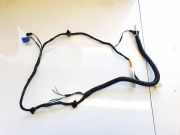 Kabelbaum Tesla Model Y, 2020 --> 251706700a,2517067-00-a