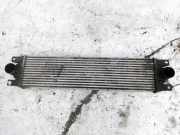 Ladeluftkühler Opel Movano A 1998 - 2010 Gebraucht,