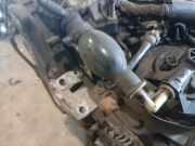 Kraftstoffleitung Handpumpe Citroen C4 Grand Picasso, I 2006.01 - 2013.06 Gebraucht,