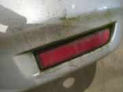 Reflektor Stossfänger - Hinten Rechts Toyota Avensis Verso, 2001.08 - 2009.11 Gebraucht,