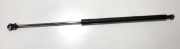 Gasdruckfeder Kofferraum Lexus IS, II 2005.10 - 2013.03 Gebraucht,