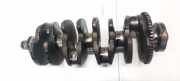 Kurbelwelle Volkswagen Passat, B5+ 2000.11 - 2005.05 038105189B,038105189B Awx