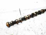 Nockenwelle Chevrolet Tacuma, 2000.01 - 2008.12 Gebraucht,