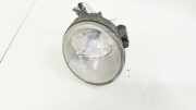 Nebelscheinwerfer - Vorne Rechts Renault Scenic, I 1999.09 - 2003.06 facelift 67736909,