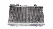 Wasserk?hler Nissan Sunny, B14 1995.05 - 2000.03 Gebraucht,