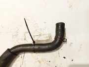 K?hlerschlauch Kia Sportage, 2004.09 - 2010.01 Gebraucht,