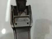 T?rgriff T?raussengriff - Hinten Rechts Renault Scenic, II 2003.06 - 2006.06 8200289825,8200289825