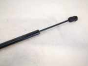 Gasfeder für Motorhaube Chrysler 300C, I 2005.01 - 2010.06 04589606aa,