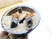 Kraftstoffpumpe Volkswagen Sharan, 7M 1995.09 - 2000.04 7m0919183b, 95vw9275ac