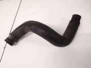 Kühlerschlauch Nissan Qashqai, I 2006.01 - 2010.06 Gebraucht,
