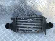 Ladeluftkühler Opel Vectra, B 1995.09 - 2000.09 Gebraucht,