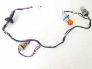 Lampenträger Heckleuchte - Hinten Nissan X-Trail, 2001.06 - 2007.06 Gebraucht,