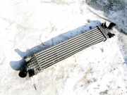 Ladeluftkühler Ford Focus, 2004.11 - 2008.06 Gebraucht,