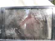 Seitenscheibe - Hinten Rechts Nissan X-Trail, 2001.06 - 2007.06 Gebraucht,