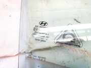 Seitenscheibe - Vorne Rechts Hyundai ix35 2010 - 2017 Gebraucht,