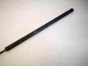 Gasfeder für Motorhaube Mercedes-Benz W220, 1998.10 - 2005.08 A2208800329,A2208800329 3113K00230N